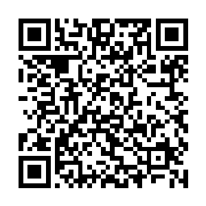 明眼人一眼就能看出他已经失去了继续活下去的动力二维码生成