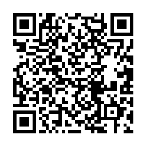 明辉师叔说的确实是事实……但他老人家却不知道二维码生成