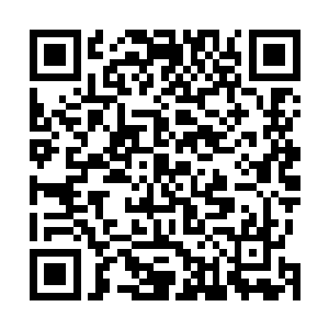 昏迷麻痹……苏落的血怎么突然间就有了昏迷麻痹的效果二维码生成