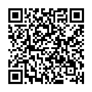 星域宗派出二十五万六千修士加上神机宗派出十二万八千修士二维码生成