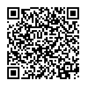 星域宗的修士已经能够预见到星域宗成为上元大陆的盟主宗门那一刻二维码生成