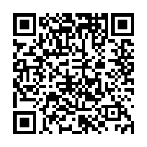 星帝门那冷漠男子不知何时已经停下了手上的动作二维码生成