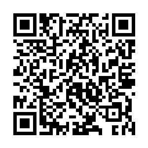 星核优化释放出一片与母型方舟白色光幕巨网相似的波动二维码生成