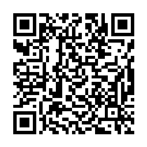 星海共和国正统政府议长卫队的指挥官林九上校要求二维码生成