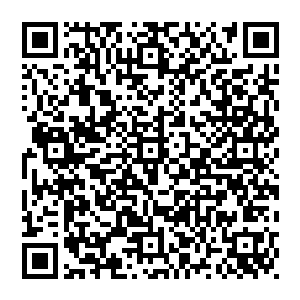 星空科技这家公司实际上只是代理星空大别山研发中心加上现在星空普特利基础技术研发中心开发出的技术专利二维码生成