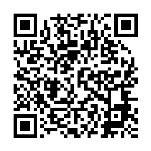 星象宫修炼了这种秘法的其他武者都能够感应得到凶手的气息二维码生成