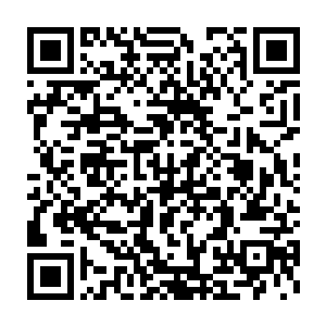 星远仇科封所所察帆战阳仇接 林家老祖被幕博文打得奄奄一息二维码生成