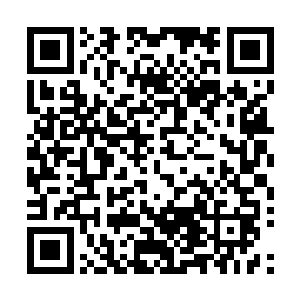 昨天晚上就是顾建国开车把宋冬发送到了他蔵娇的那个小层二维码生成