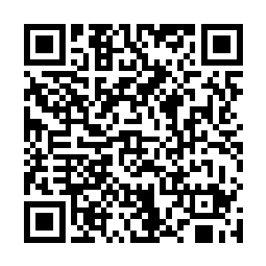 昨天欧勇老师就是捧着它等在门口要对你示爱表白来着二维码生成