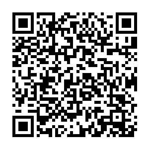 昨晚的时候自己确实一边和齐卡维聊女佣的问题一边回到了奥尔芭身侧二维码生成