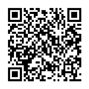 是不是会舍得花钱带孩子去电影院看这样的一部动画片二维码生成