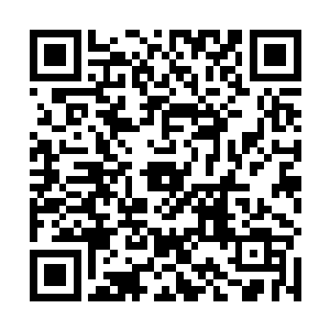 是不是会跟小伙伴愤怒得在厕所后面去往粪坑里砸石头二维码生成