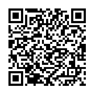 是不是因为这个原因令百族修士不能够提升本体强度二维码生成