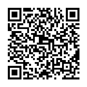 是不是想我在不顾在就算会弄醒珊珊的情况下就此办了你二维码生成