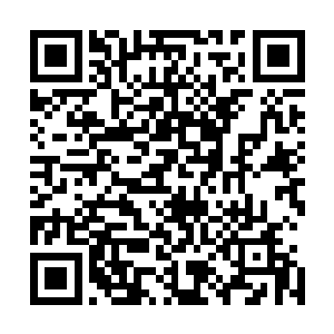 是不是让我们百圣城内所有满足不了第五殿条件的家族势力二维码生成