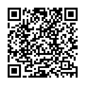 是不是跟程白泽有关……他不就是会那个五雷掌的么……二维码生成