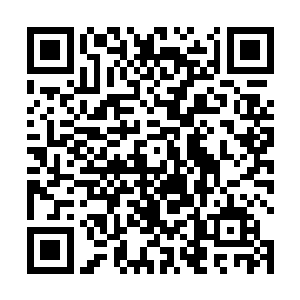 是不是顾律觉得用这个东西让他做一件上品法器不太值二维码生成