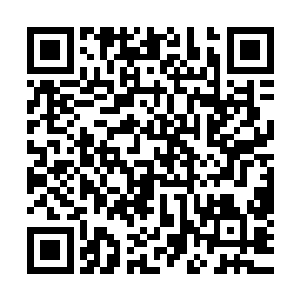 是他跟着鬼仙门的仙修来的……我们只是被动的接受任务而已二维码生成