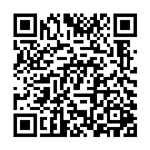 是以便猜到他可能需要这种恢复炼体术所用的金血药二维码生成