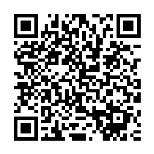 是以决定将歌舞伎町一间颇具规模的夜总会交由野泽浩二管理二维码生成