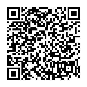 是以自身上下每一处的毛发皮肤等感觉空气之中所传出的细微波动二维码生成
