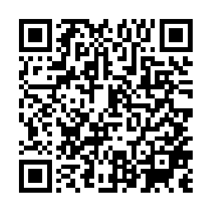 是因为他刚刚感受到了正前方一股气强大浩瀚的气息二维码生成