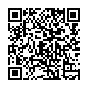 是因为周小燕的背叛和常雨泽的阴谋让他非常害怕二维码生成