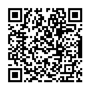 是因为杨开每次催动木行之力的时候都没有触碰过果树二维码生成