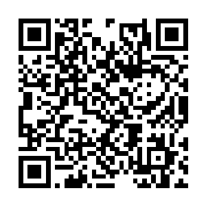 是它把苏文这样一个必将伟大的苏文带到我们面前二维码生成