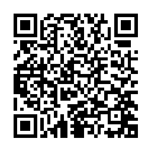是宇宙中不多的几种能够跟七彩龙王缔奇肉身抗衡的生物之一二维码生成