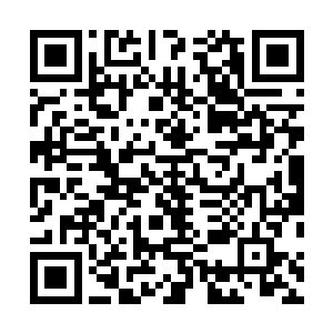 是小城城主联合了多位城主而组成的……二十万暗灵大军二维码生成