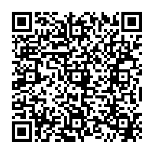 是当年的神水宫以秘法从种种的水系宝物当中提取出来再经过融合淬炼而成的一种至宝二维码生成