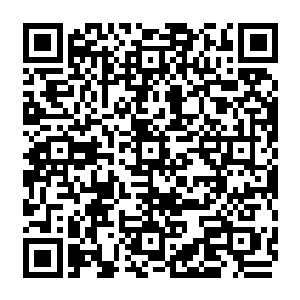 是我们东方家祖辈费尽时间才建起的四五更少说也得十根以上这上面长了上百枝桠呢二维码生成
