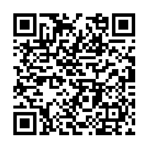 是我撞见了寒汐儿引陈家公子到寒紫晴房间里去的二维码生成