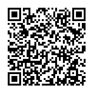 是打算趁夜用正常的体型去探一探她看到的城里最大的那个黄房子二维码生成