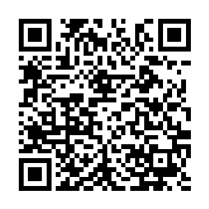 是排在最后的那个昨天在饭店里一声不响的小姑娘二维码生成