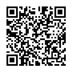 是无星的角斗士田下和三星角斗者巨人乔森组成的临时队伍二维码生成