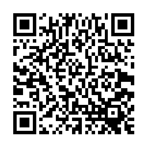 是时候感悟前辈所留下对圣域巅峰和圣域小圆满境界的领悟了二维码生成