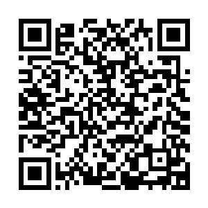 是林禹的妻子无意间发现了狂刀域主和另一个人争夺仙兽幼崽二维码生成