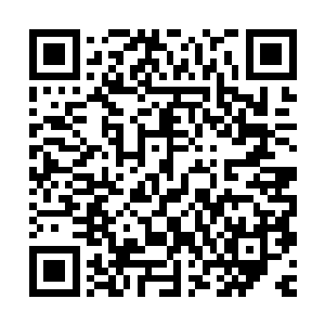 是让你开始帮我介绍一下这些刑……这些娱乐工具是怎么个用法二维码生成