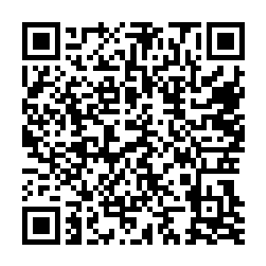 是那片布满白沙的大陆在星海对面那位存在的帮助下结出了一个果子二维码生成
