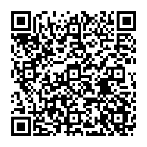 是除了梵蒂冈和意国教区之外的第二大教区……维埃里这一次带着如此多的圣骑士入境二维码生成