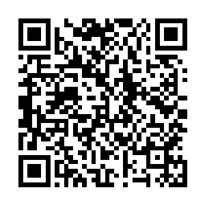 显然他们怎么也没想到如此可爱的玄青青竟然不是一个人类二维码生成