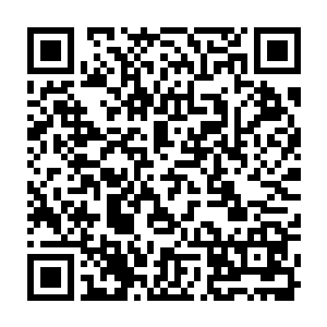 显然他已经认出了这乳白的光团赫然正是虚影的元神被净化之后留下的能量净化二维码生成