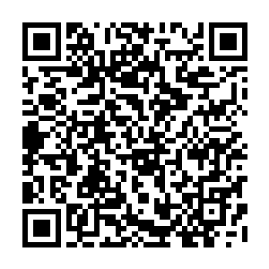 显然对于南宫璟宸变成了现在这个样子使得雪儿根本接受不了现在这个事实二维码生成