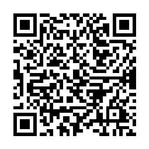 显然是戚长老为了让他挺过这最后一次而特意准备的二维码生成