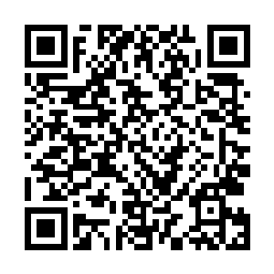 显然此时龙傲天表现出来的手段彻底的令星辰老祖折服了二维码生成