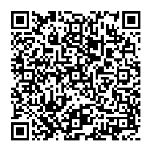 显然现在龙傲天也十分的清楚自己的血液对于这个巨蛋的未来十分的重要当下龙傲天也是狠狠心二维码生成