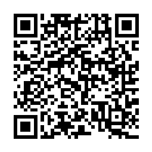 显然这个世界应该就是神界仙妖魔界和修真界最开始的雏形二维码生成