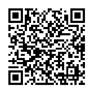 显然这个结果实在是大大的出乎了他们的意料之外二维码生成